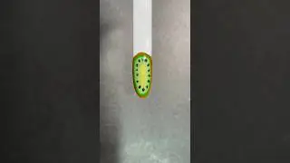 Kiwi fruit nail art tutorial #nailideas #nailarttutorial #nailvideos #kiwi #fruitart #naildesign