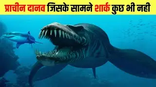 समंदर के 5 प्राचीन विलुप्त जानवर | Prehistoric extinct sea animals