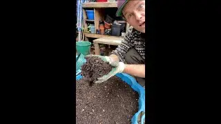 Compost ton legen en zeven #wormenfestijn (vertical video)