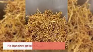 HYTT druiventros &ndash; grape bunch &ndash; Traubenrispen Transport (vacuum transport)