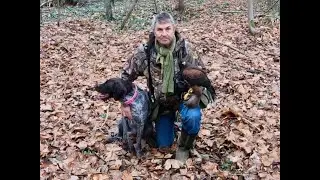 BOXING DAY WITH WOODY THE HARRIS HAWK