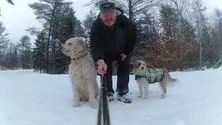 Selfie Stick Bayley & Jake Walk Using The XShot Camera Monopod Boom HD Video