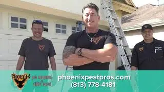 MOR EXPLORES PHOENIX WILDLIFE & PEST CONTROL: Controlling Annoying Pests