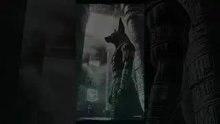 Crypto Anubis: Unveiling Secrets! #CryptoMysteries