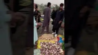 New Sabzi Mandi in Capital Of Pakistan #shorts