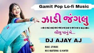 Jhadi Janglu Lilu Panu Me | Gamit Pop Lo-fi Music | DJ AJAY AJ