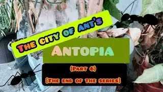 &mdash;The city of ant's&mdash; Antopia ft.Orjon Rahman (The end of the series)