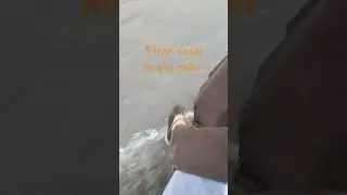 virar-vasai //heavy rain//#mumbai #virar#vasai #rain ghar se bahar na nikle 🙏🙏🙏