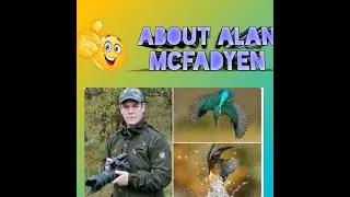 About Alan Mcfadyen