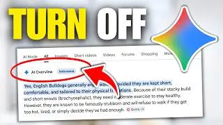 How To Turn OFF AI Overview In Google Search