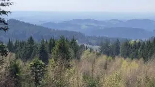 Wanderung vom Gut Schmelmerhof zum Hirschenstein