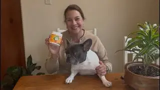 What you should know about these Dog Teeth Cleaning Wipes