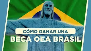 Estudia GRATIS en BRASIL con esta BECA | BECAS OEA BRASIL 🇧🇷​