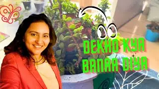 🌿💚 My First Jade Plant Topiary | Navratri Special Gardening | The Struggling Gardener