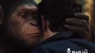 funny madlipz status video