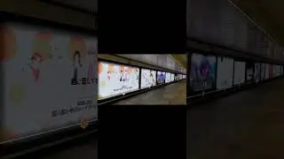 いれいす One Man Live in 日本武道館「Irregular Dice」　Short Ver.