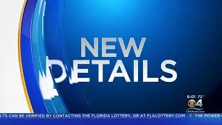 Dolphins Owner Stephen Ross Responds to Brian Flores Lawsuit