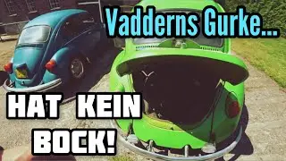 Roadtrip: Familienausflug zum Käfertreffen!