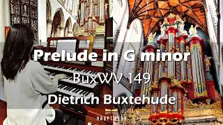 D. Buxtehude - Prelude in G minor BuxWV 149 / Haarlem Organ(HW6)