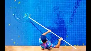 Essential Steps to Keep Your Backyard Pool Clean and Safe