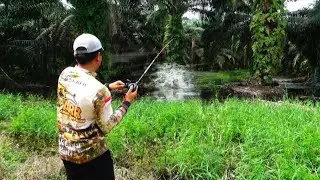 MUSIM BANJIR BANYAK IKAN NAKAL YANG GANGGU UMPAN ‼️