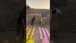 Ultimate Balloon Pop Blindfold Challenge 💣