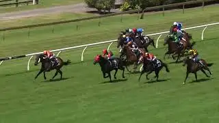 Ellerslie 26/12/21 Zabeel Classic Day