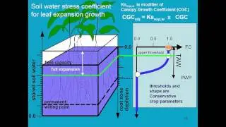 Crop development AquaCrop - Training module Nr. 4.3, April 2016
