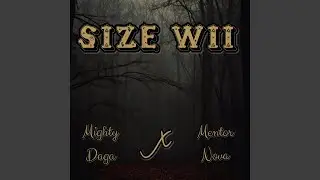 Size Wii