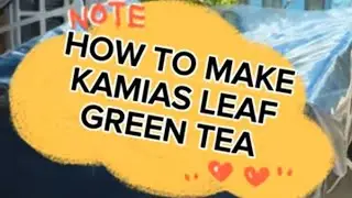 How to make Kamias Leaf Green Tea