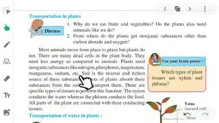 9th std, chapter 15th life process in living organisms, Science and technology, part 1