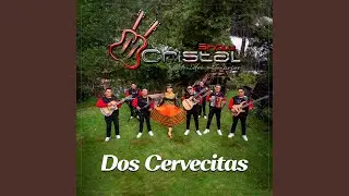 Dos Cervecitas (Cover)