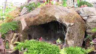 Take a Tour of the Fairyhood