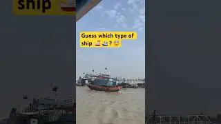 Guess which type of ship ? 🛳️ #ship #cruise #boat #river #ferry #shortvideo #youtubeshorts