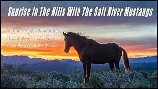 Epic Sunrise In The Hills With The Sale River Mustangs