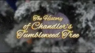 The History of Chandler's Tumbleweed Tree