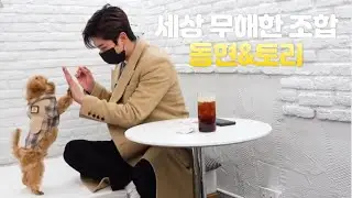 [AB6IX/김동현] 세상 무해한 조합 동현&토리 모음