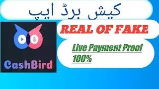 Cash Bird App Real Of Fake | Live Payment Proof 2023 #onlineearning #earning #earnmoneyonline