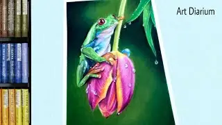 Drawing a Tree Frog with Oil Pastel [ Step by Step ]