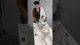 What REALLY Happens When You Arrive at a Funeral Home