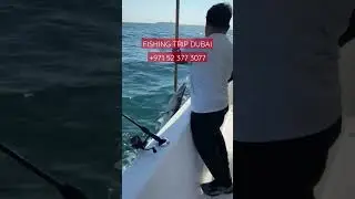 Boat Rental For Fishing Trip In Dubai. +971 52 377 3077. #boatrentaldubai #fishingtripdubai