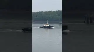 Duty tug KILROOM means business #shorts #viral #video
