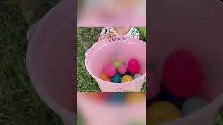 Easter Morning 🐰#shortsvideo #shortvideo #video #cute #easter