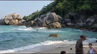 Planet Papas в прямом эфире CRAZY BEACH TIMES