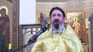 Проповедь на Литургии 29 07 2018 иером. Иоанн (Гуайта)