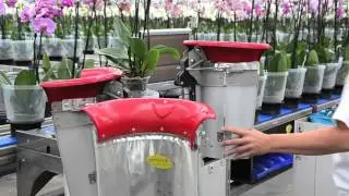 Hebo Halter voor het snel inhoezen van bloemen en planten