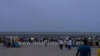 Fish lovers | Night life on Bakkhali Sea Beach , Bay of Bengal, West Bengal