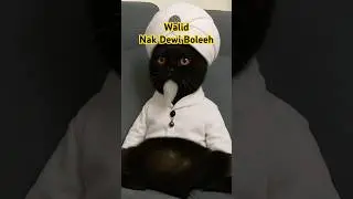 Walidmeong #cat #meong #walid #bidaah