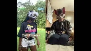 duet with @SSSilly_pawSSS #therian #furry #fyp #shorts #youtube