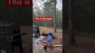Странное явление в Алабаме!? 🤦&zwj;♂️😂 #погода #алабама #усадьба
